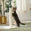 Frisco 21-in Sisal Cat Scratching Post With Toy
