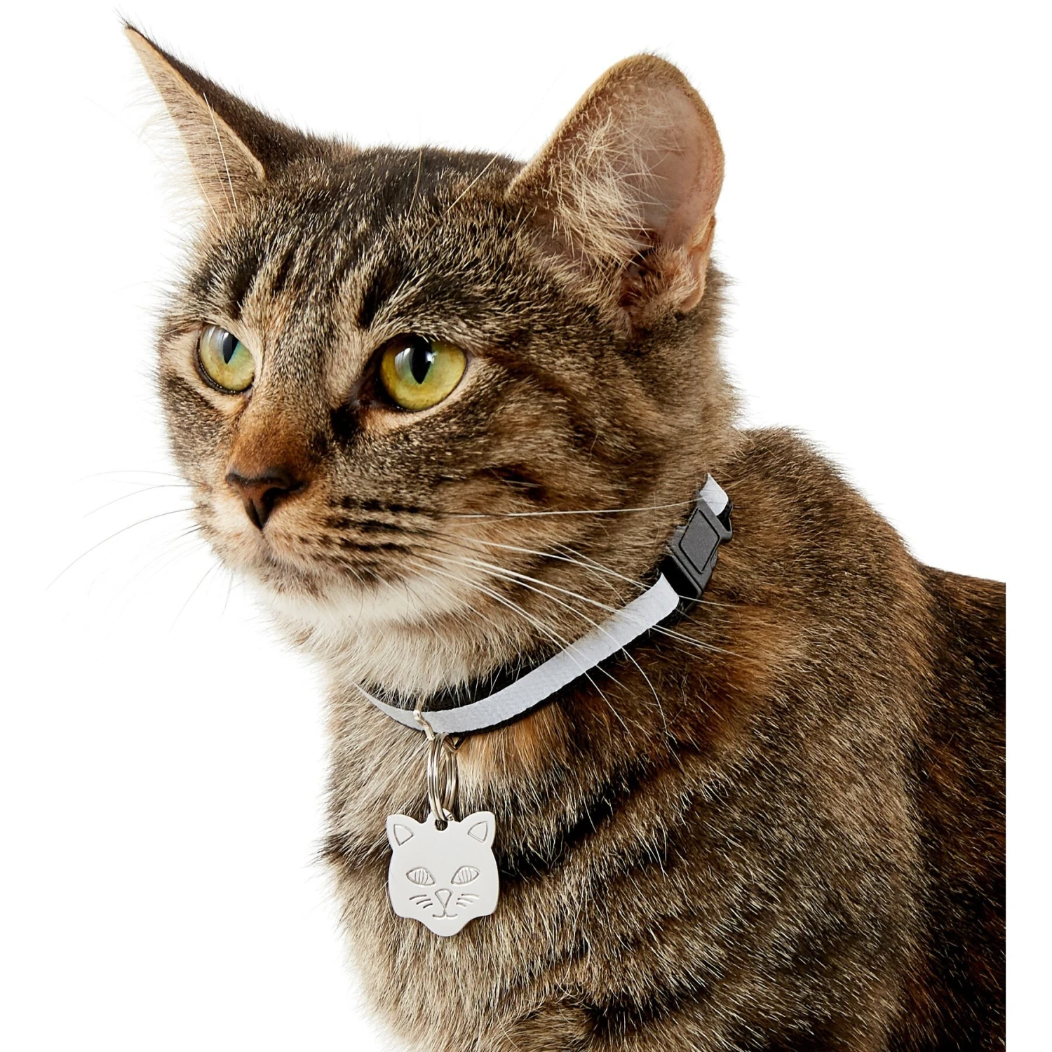 Frisco Stainless Steel Personalized Cat ID Tag, Cat - Image 4