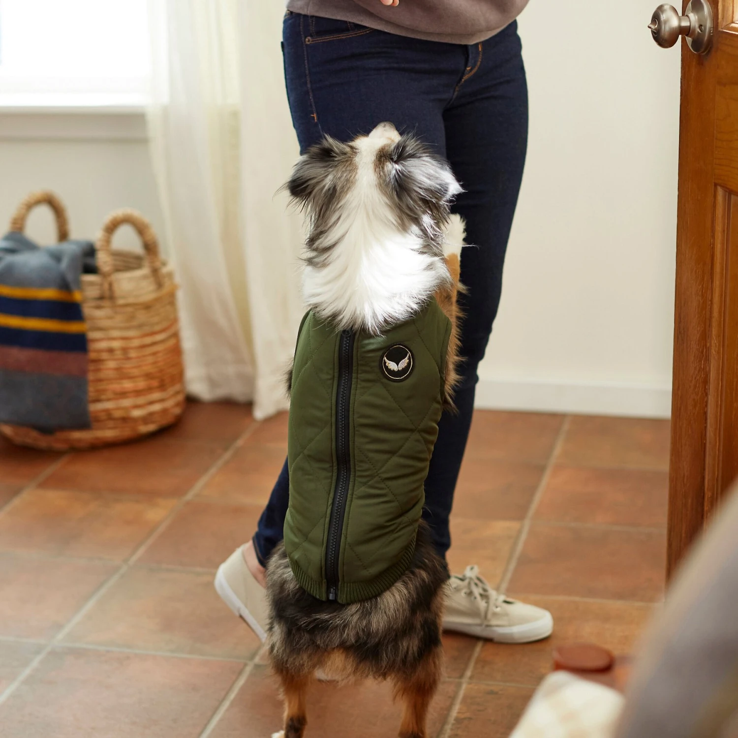 Frisco Lightweight Insulated Bomber Dog & Cat Jacket - Image 6