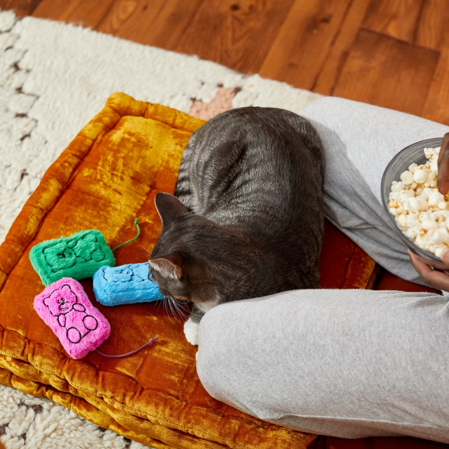 Frisco Zoomies & Chill Gummy Bear Plush Cat Toy With Catnip - Image 3