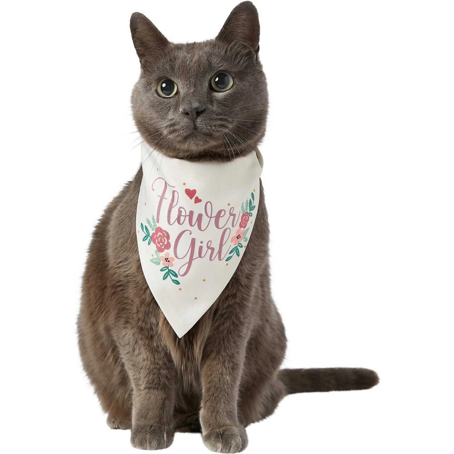 Frisco Wedding Reversible Dog & Cat Bandana - Image 4