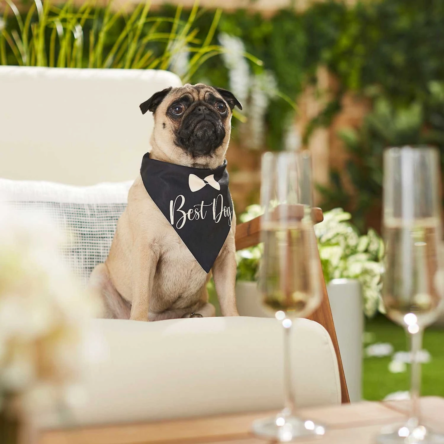 Frisco Wedding Reversible Dog & Cat Bandana - Image 6