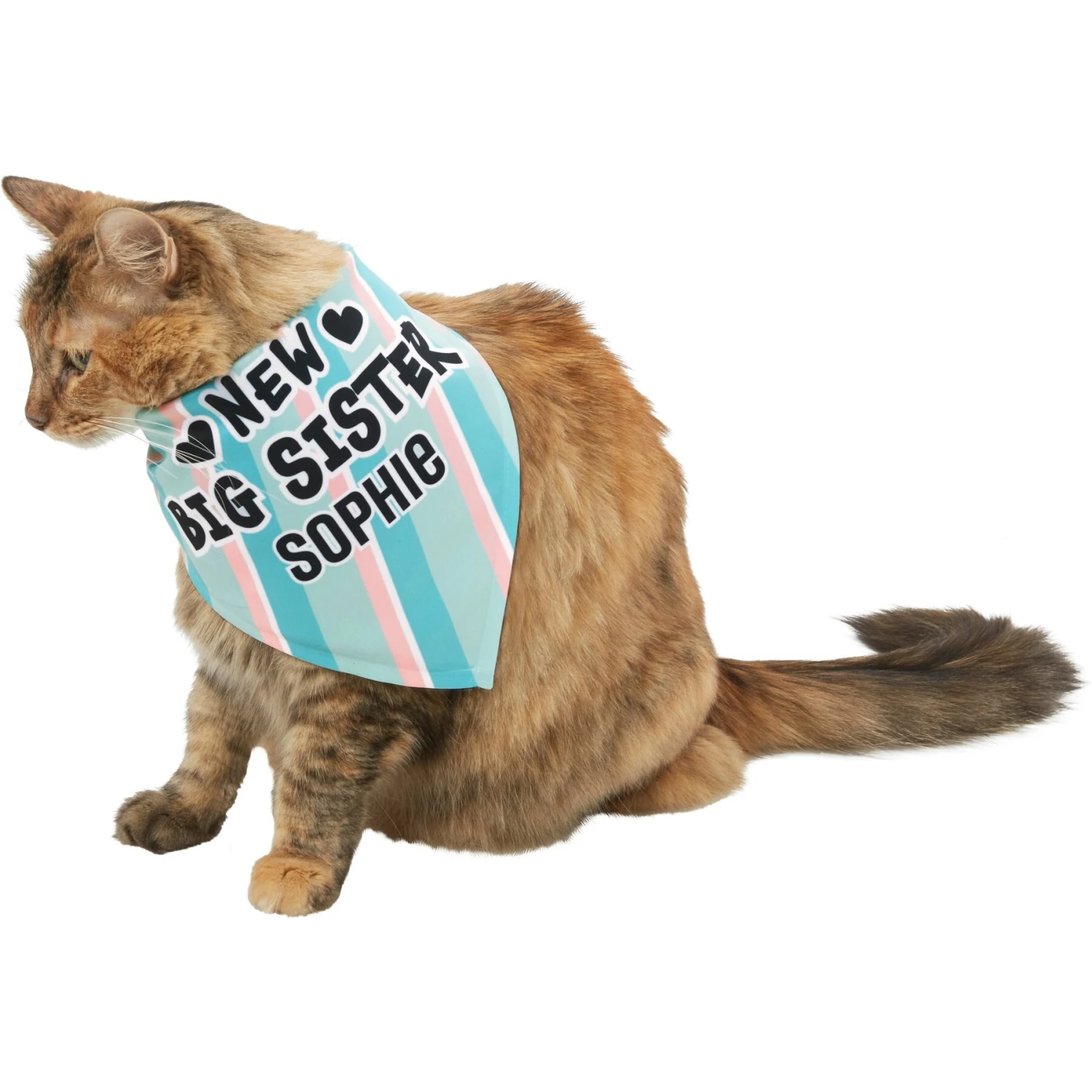 Frisco Big Sister Personalized Dog & Cat Bandana - Image 8