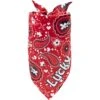 Frisco Paisley Printed Personalized Dog & Cat Bandana