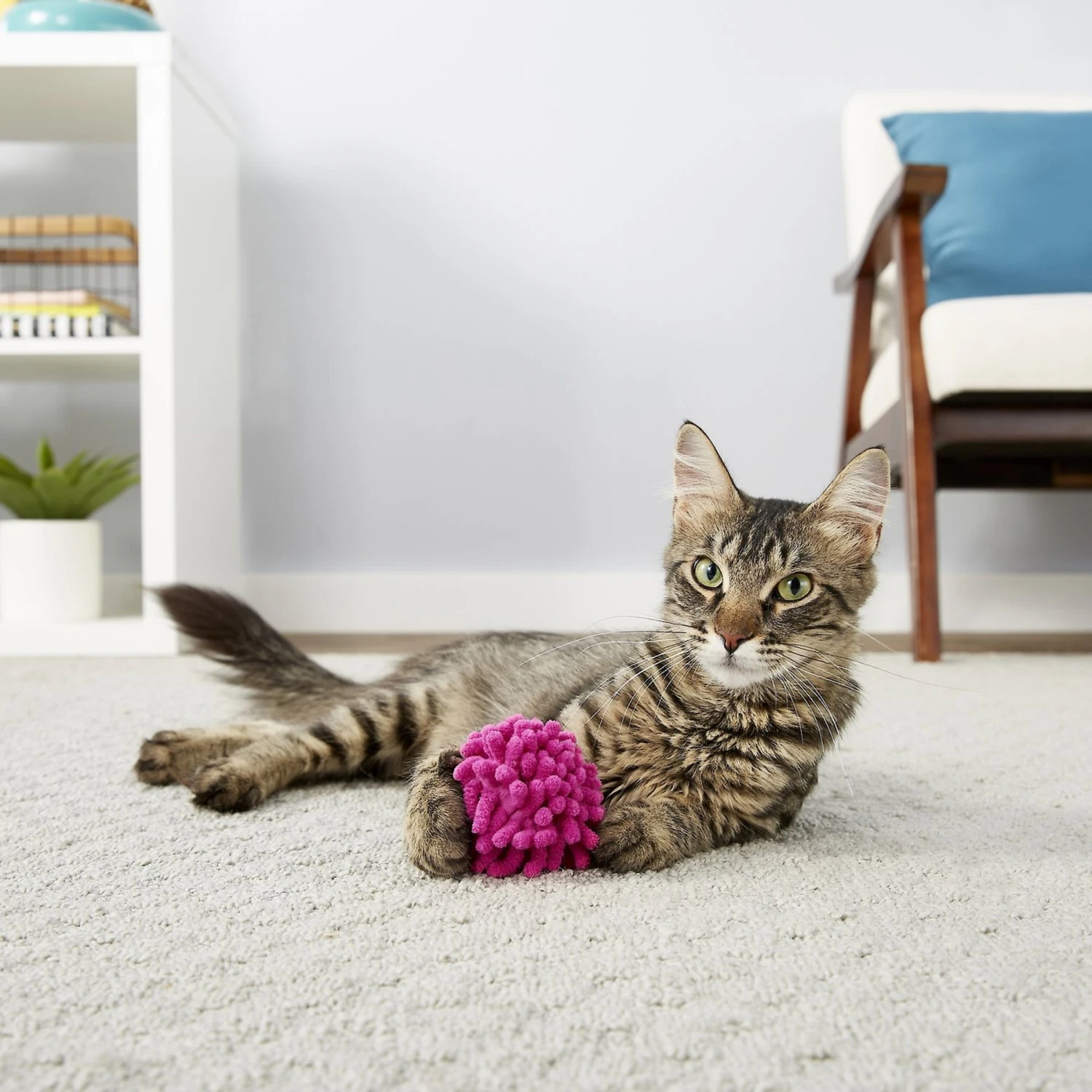 Frisco Moppy Ball Cat Toy With Catnip & Frisco Moppy Ball Cat Toy With Catnip - Image 5
