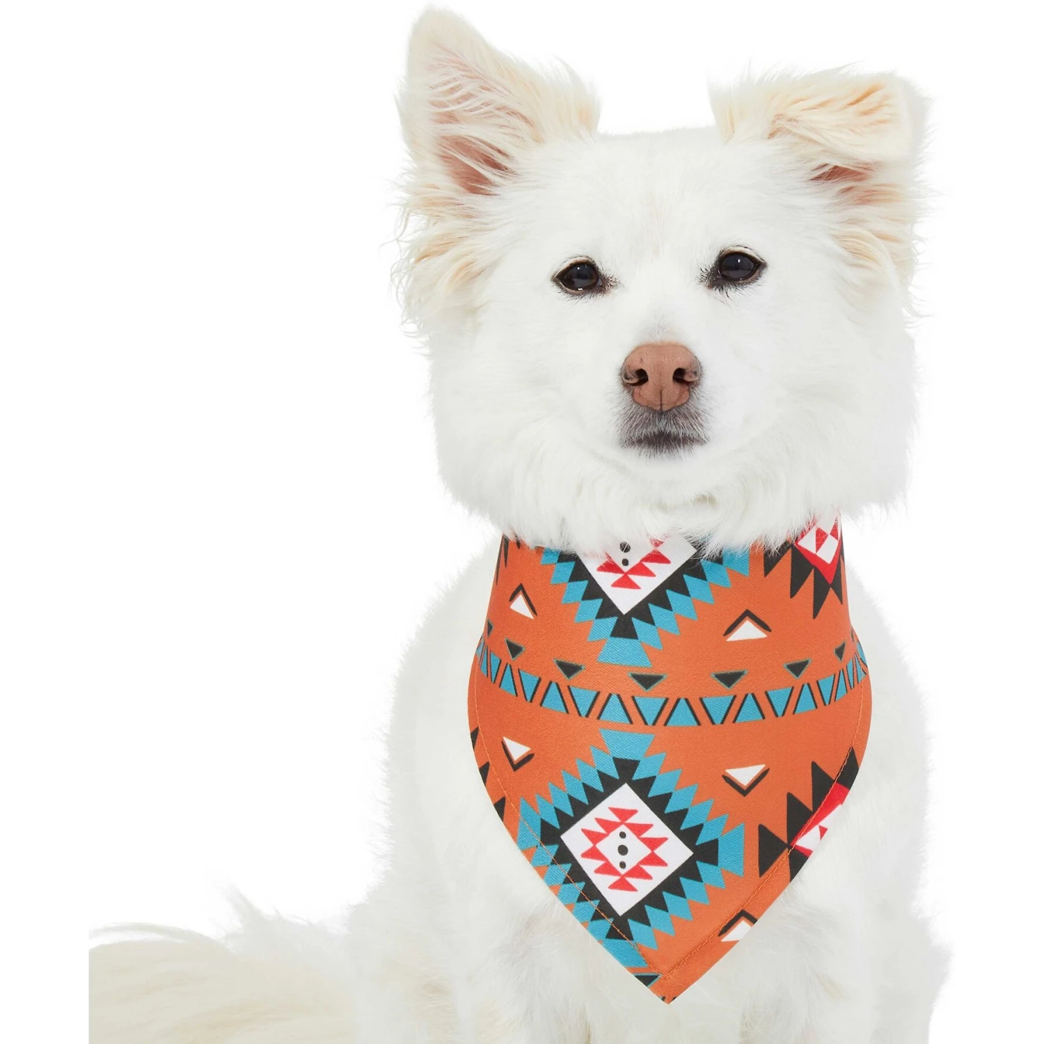 Frisco Southwest Dog & Cat Bandana - Image 3