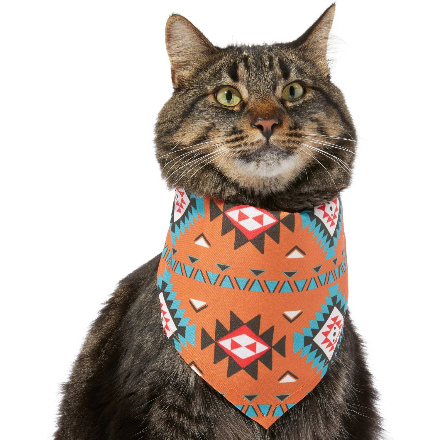 Frisco Southwest Dog & Cat Bandana - Image 4