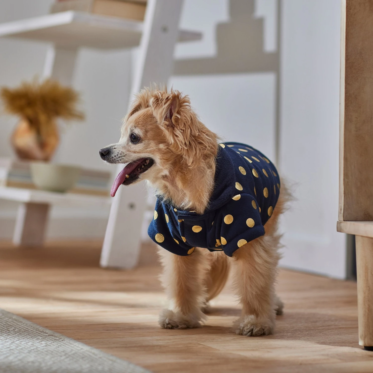 Frisco Lightweight Gold Dotted Dog & Cat Jacket, Navy - Image 7