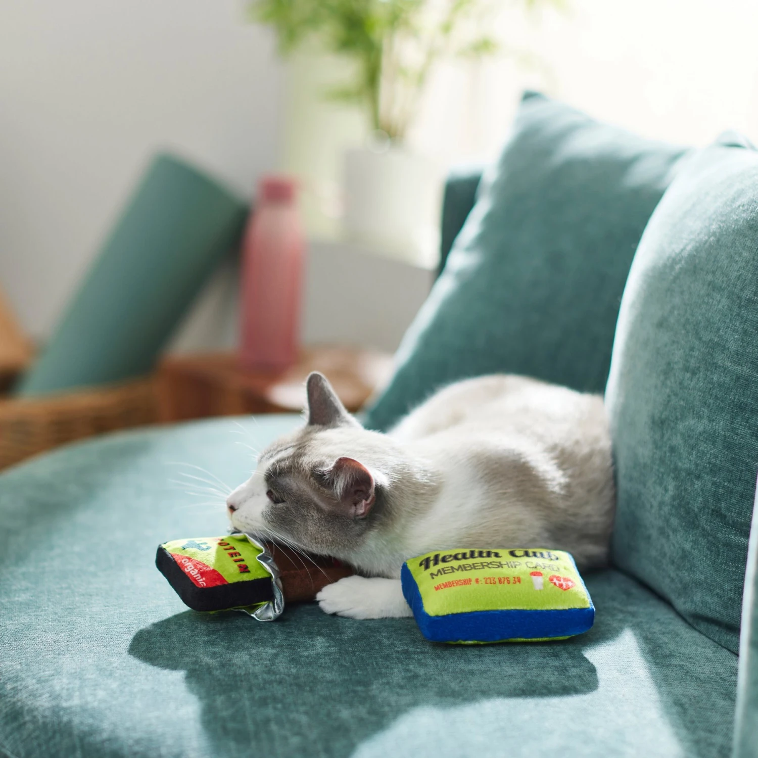 Frisco Protein Bar & Gym Membership Plush Cat Toy With Catnip - Image 4