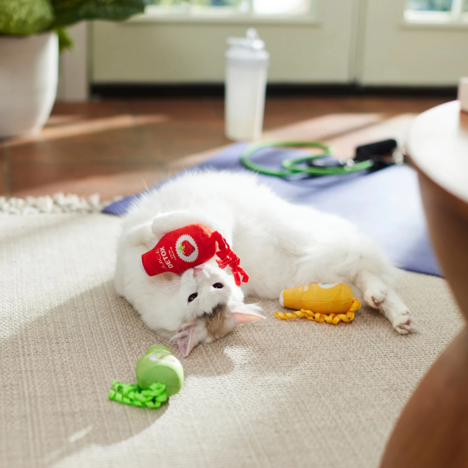 Frisco New Year, New Me Juice Cleanse Plush Cat Toy With Catnip - Image 3