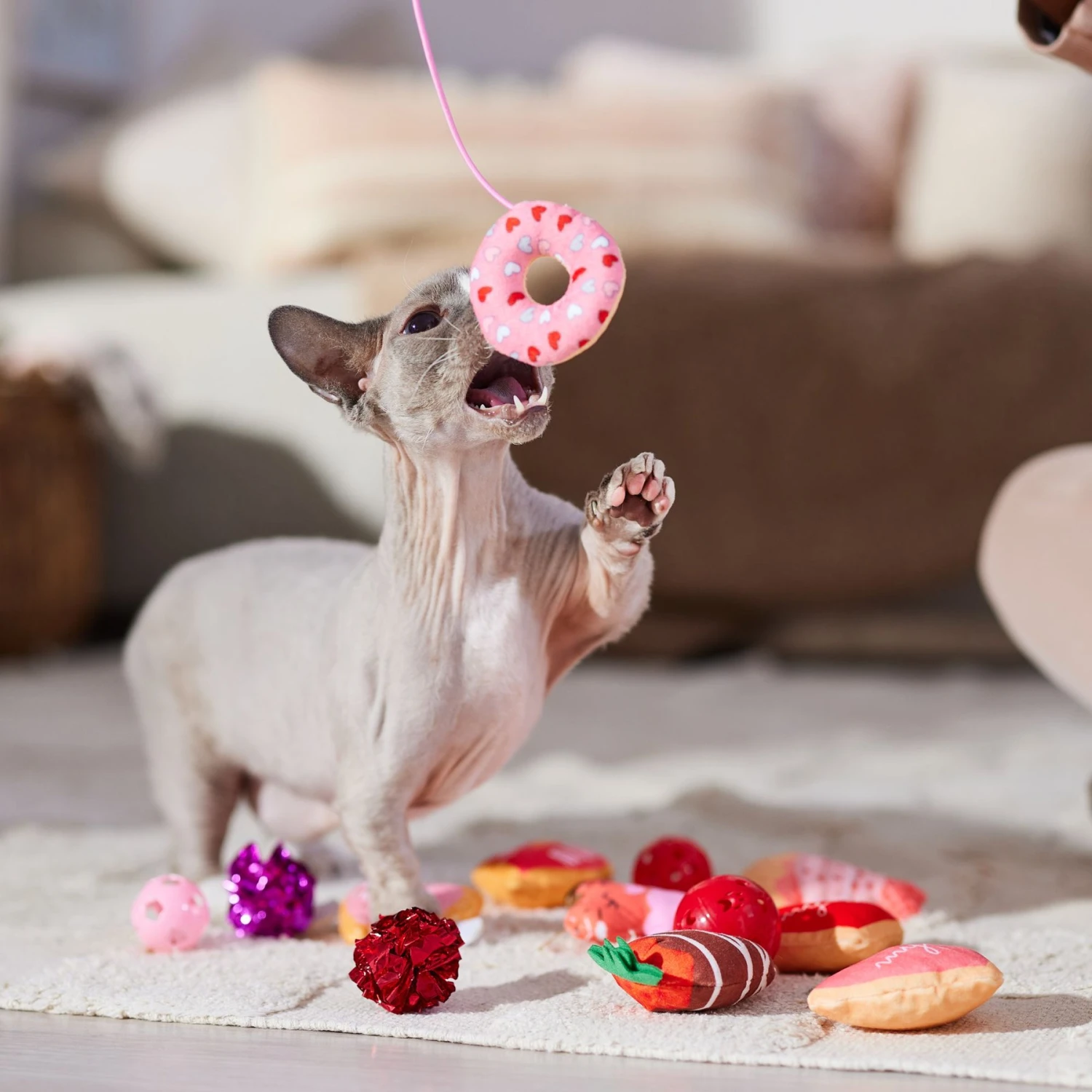 Frisco Valentine Variety Pack Cat Toy With Catnip, 13 Count - Image 4