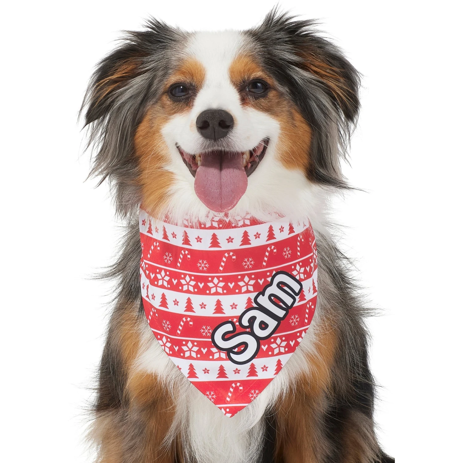 Frisco Fair Isle Personalized Dog & Cat Bandana - Image 7