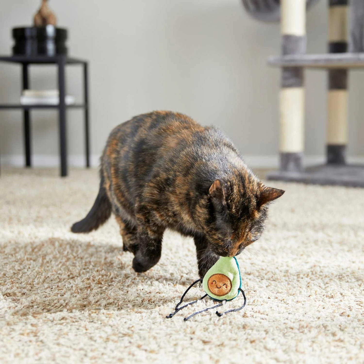 Frisco Cactus Cat Scratching Post & Frisco Dangly Avocado Buddy Plush Cat Toy With Catnip - Image 7