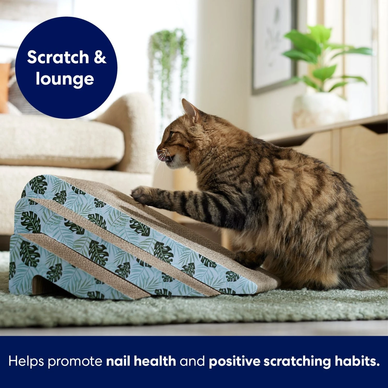 Frisco Nesting Cat Scratcher Toy With Catnip, Tropical Paradise - Image 3