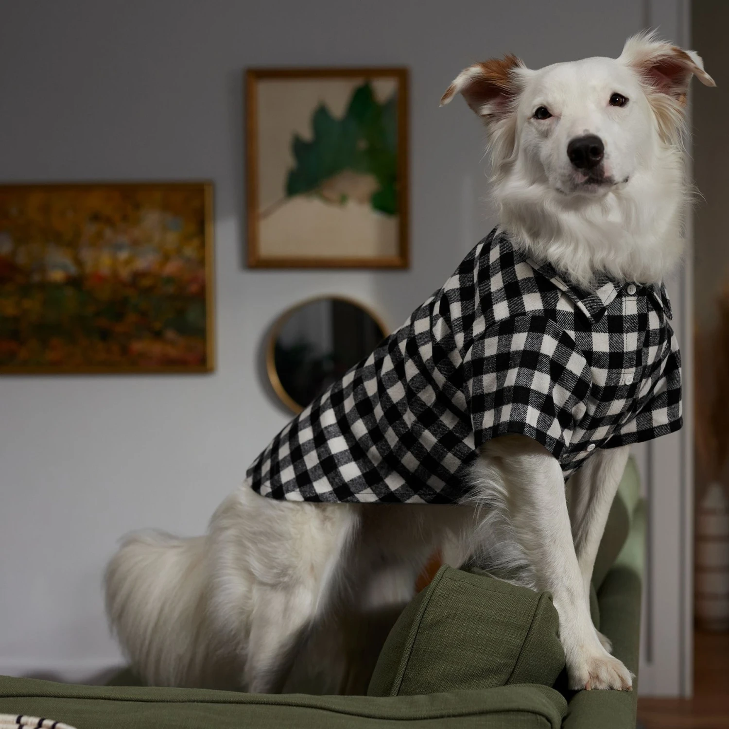 Frisco Black Plaid Dog & Cat Shirt - Image 8