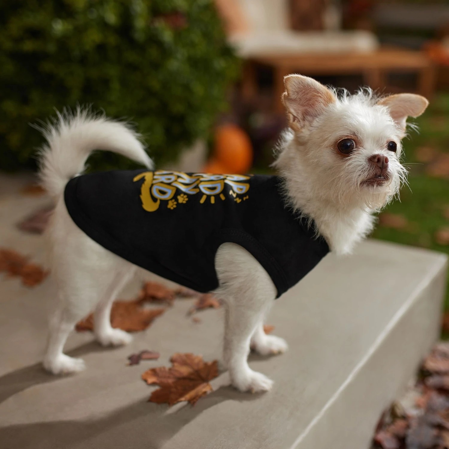 Frisco Nap Hard Play Hard Dog & Cat T-Shirt - Image 6