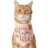 Frisco Cutest Pumpkin In The Patch Dog & Cat Bandana