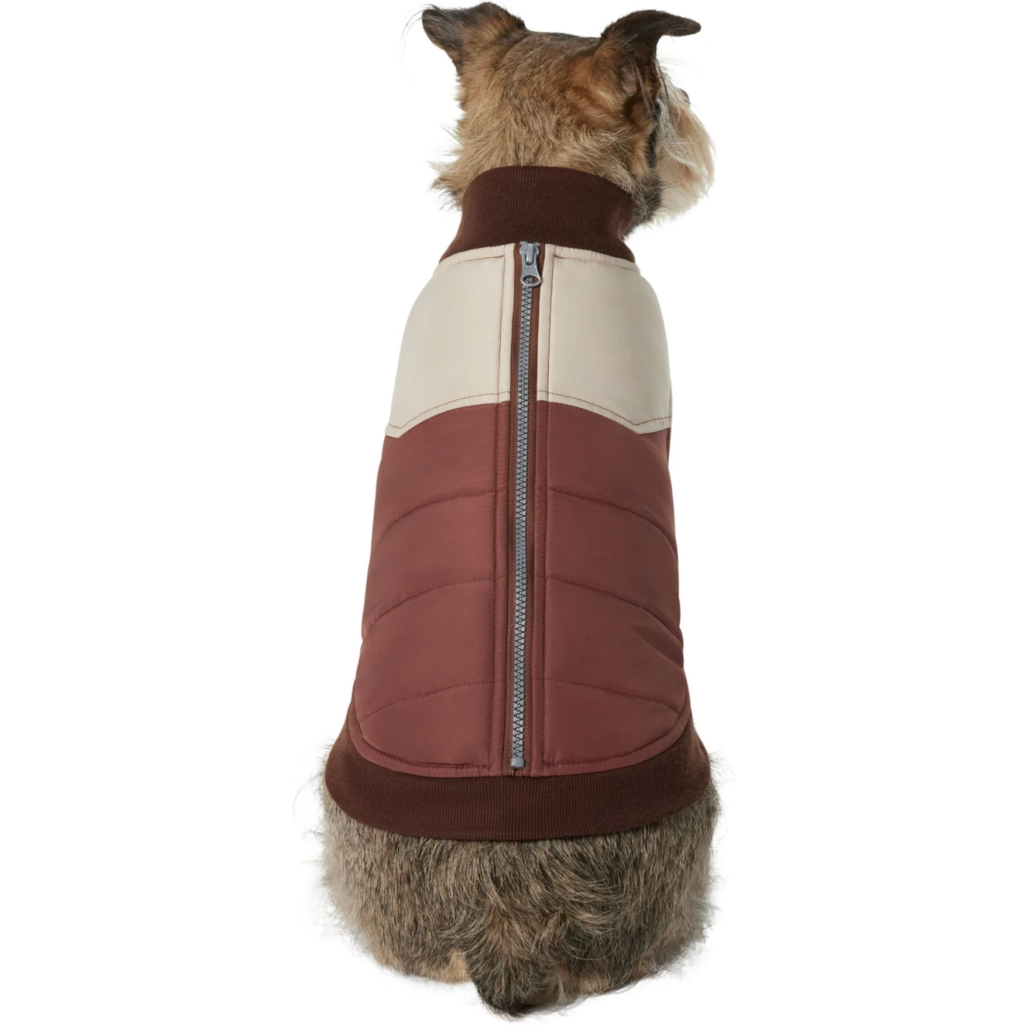 Frisco Lightweight Colorblock Puffer Dog & Cat Jacket - Image 3