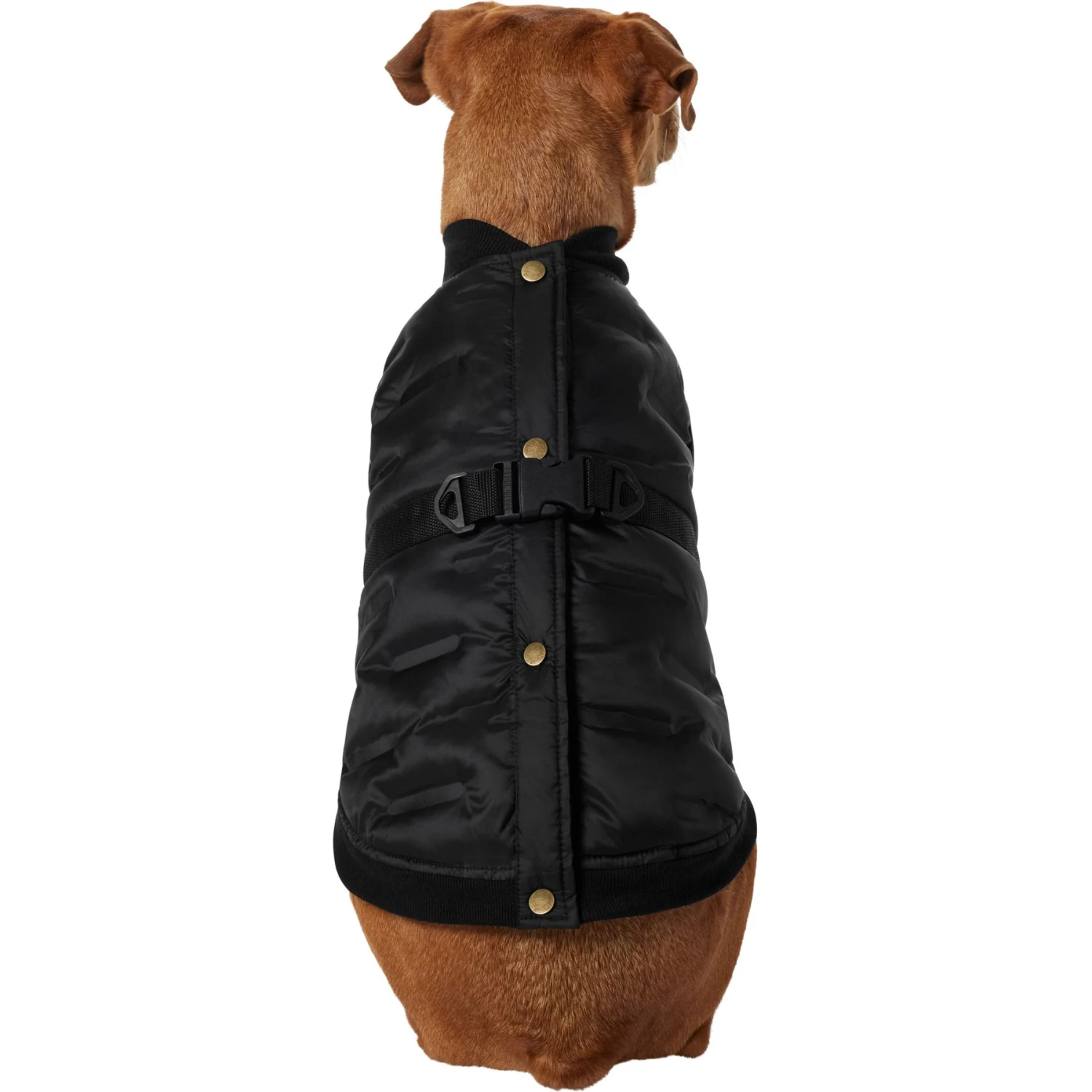 Frisco Lightweight Belted Puffer Dog & Cat Jacket - Image 3