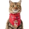 Frisco Cutest Reindeer Of All Dog & Cat Bandana