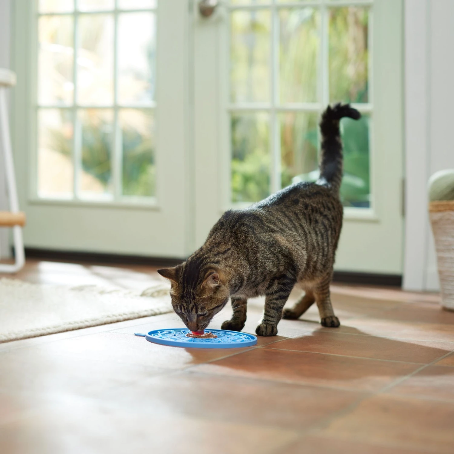 Frisco Non-skid Flower Silicone Dog & Cat Lick Mat, Blue - Image 4