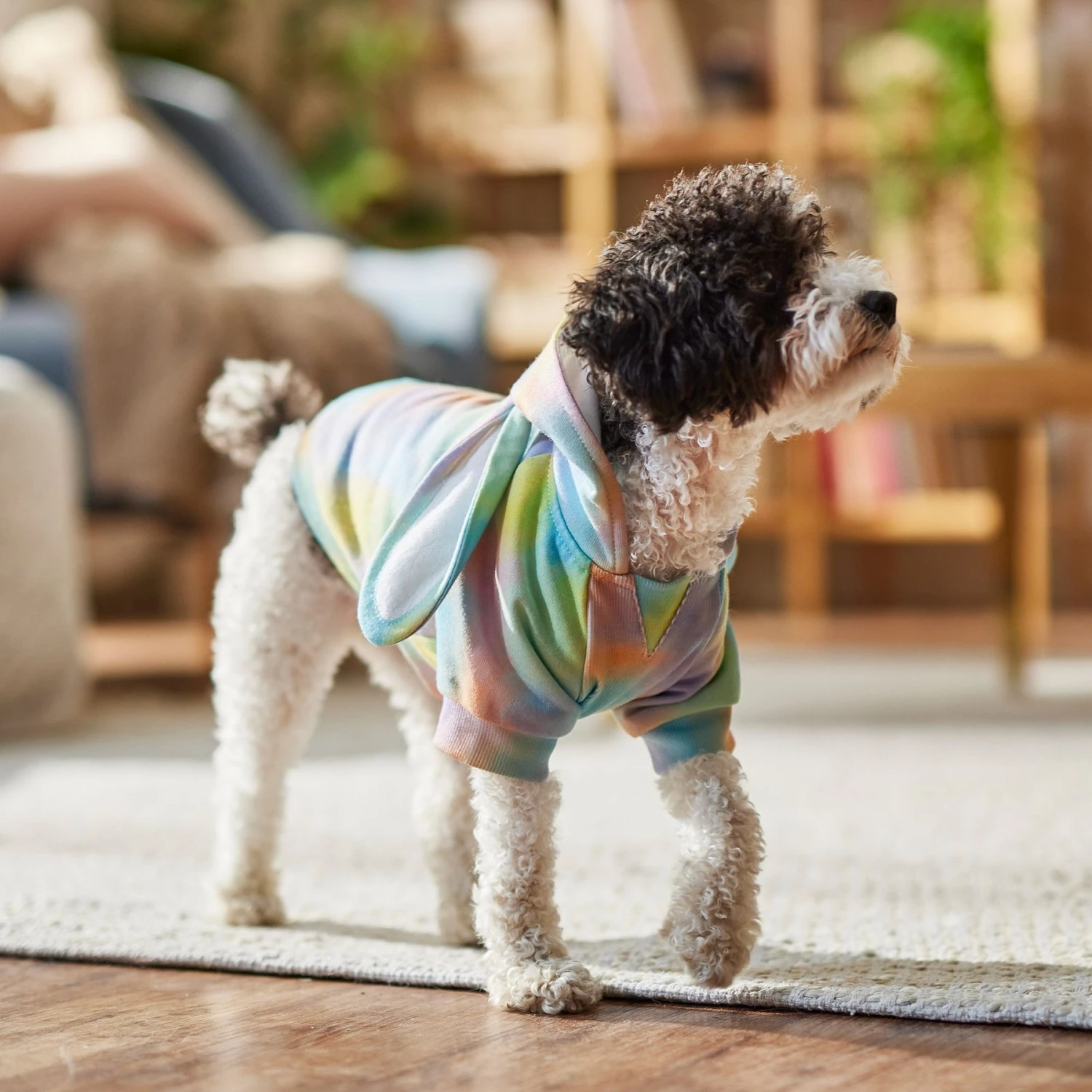 Frisco Wash Effect Bunny Ear Hoodie - Image 8