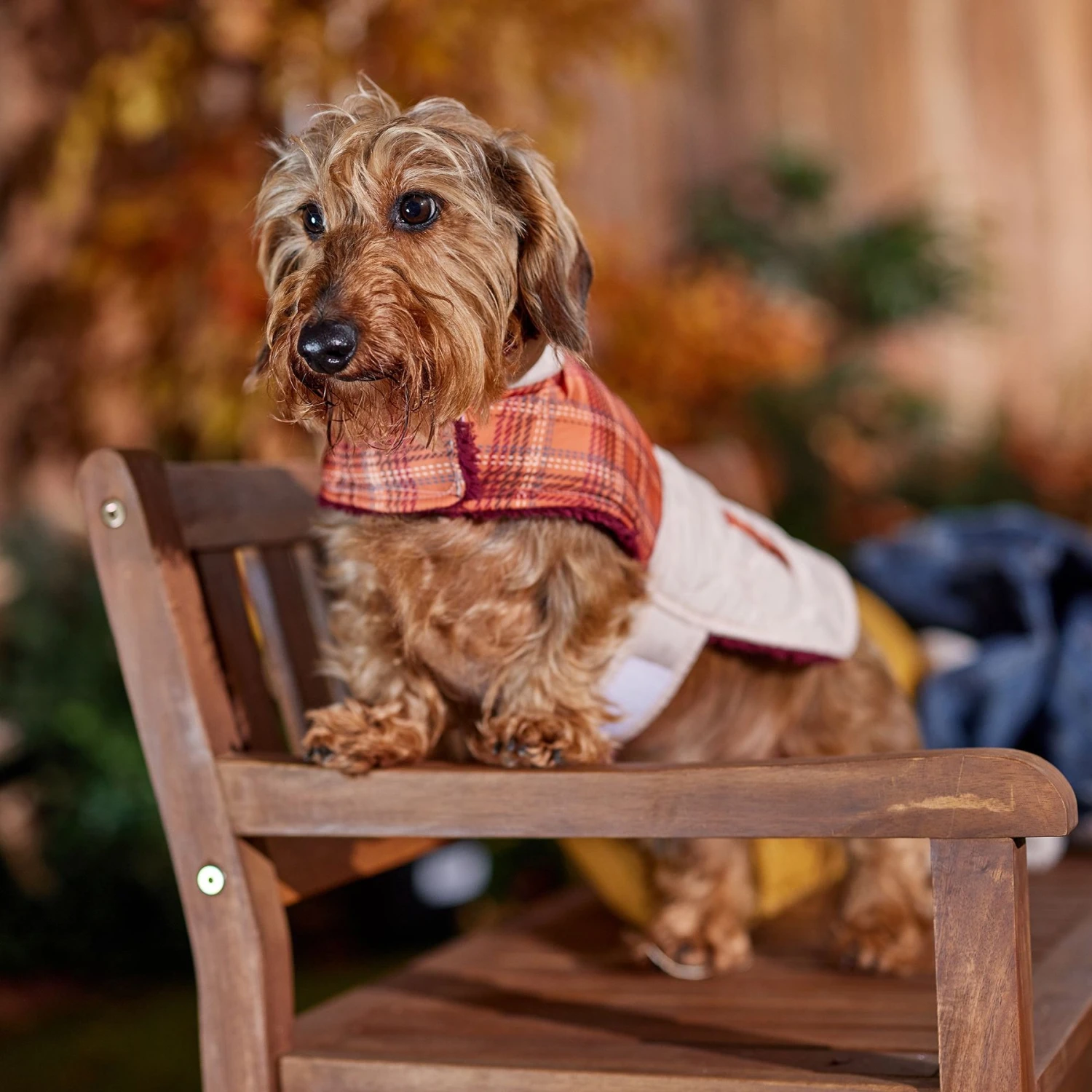 Frisco Medium Weight Fall Plaid Dog & Cat Coat - Image 7
