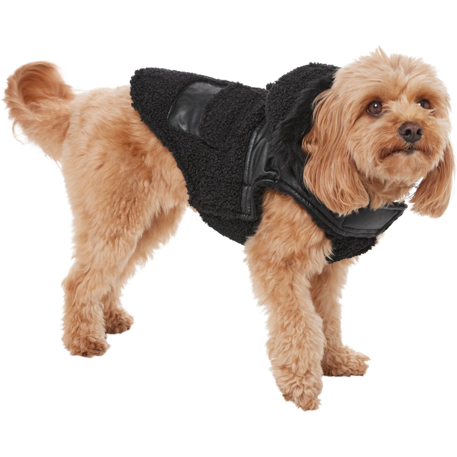 Frisco Medium Weight Faux Leather Dog & Cat Parka With Faux Fur Trimmed Hood, Black - Image 3