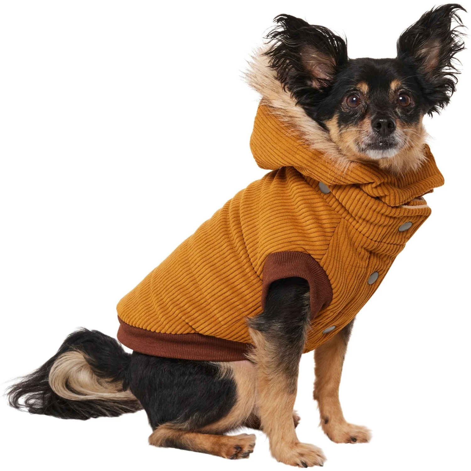 Frisco Heavy Weight Lux Corduroy Insulated Dog & Cat Coat With Fur Trimmed Hood - Image 3