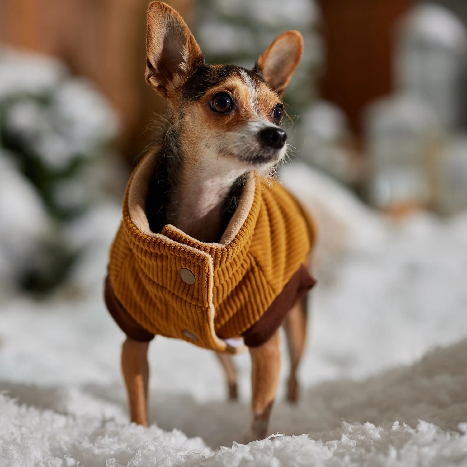 Frisco Heavy Weight Lux Corduroy Insulated Dog & Cat Coat With Fur Trimmed Hood - Image 8