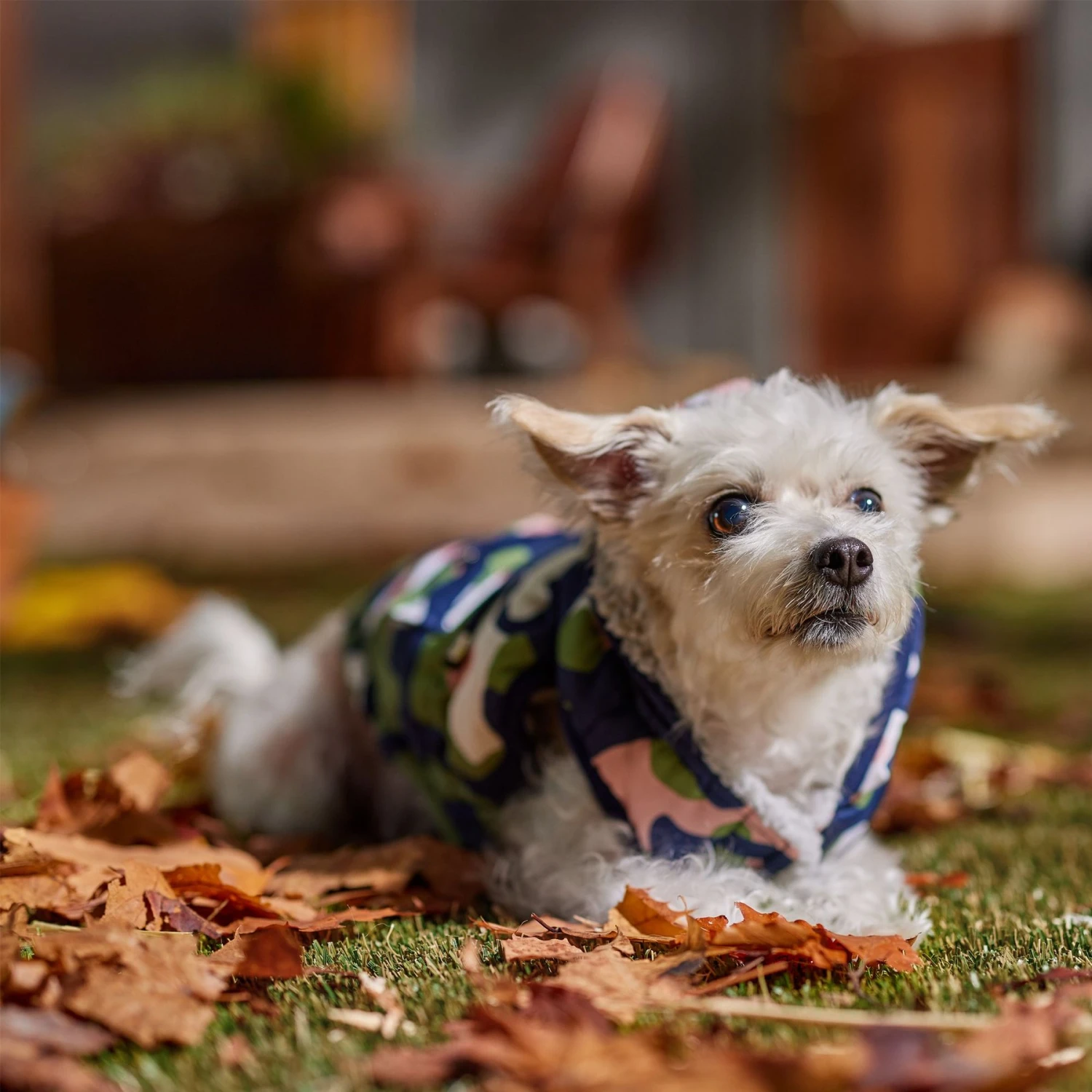 Frisco Medium Weight Urban City Camo Printed Dog & Cat Hooded Coat - Image 8