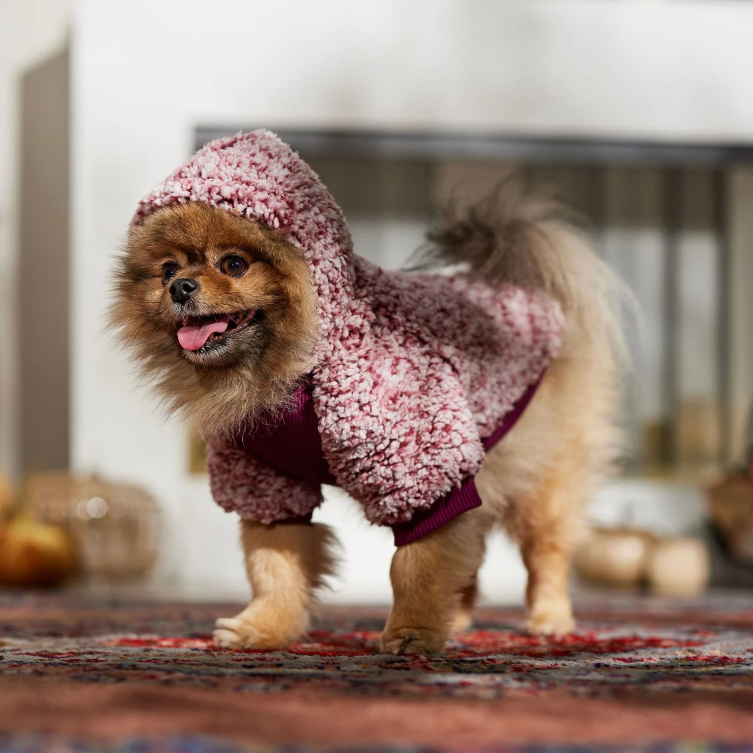 Frisco Textured Wubby 2-Tone Fleece Dog & Cat Hoodie - Image 8