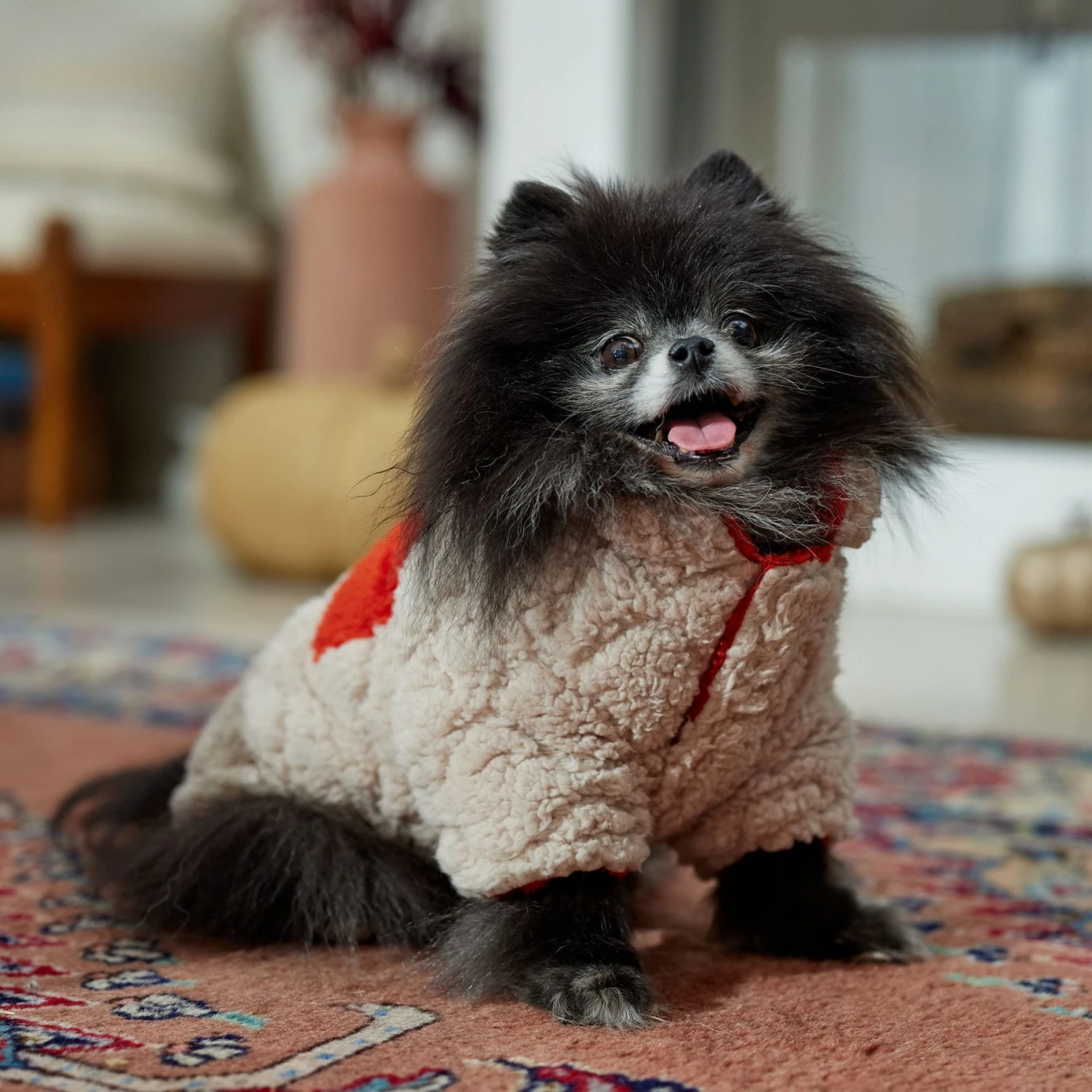 Frisco Medium Weight Quilted Sherpa Dog & Cat Zipper Coat - Image 7