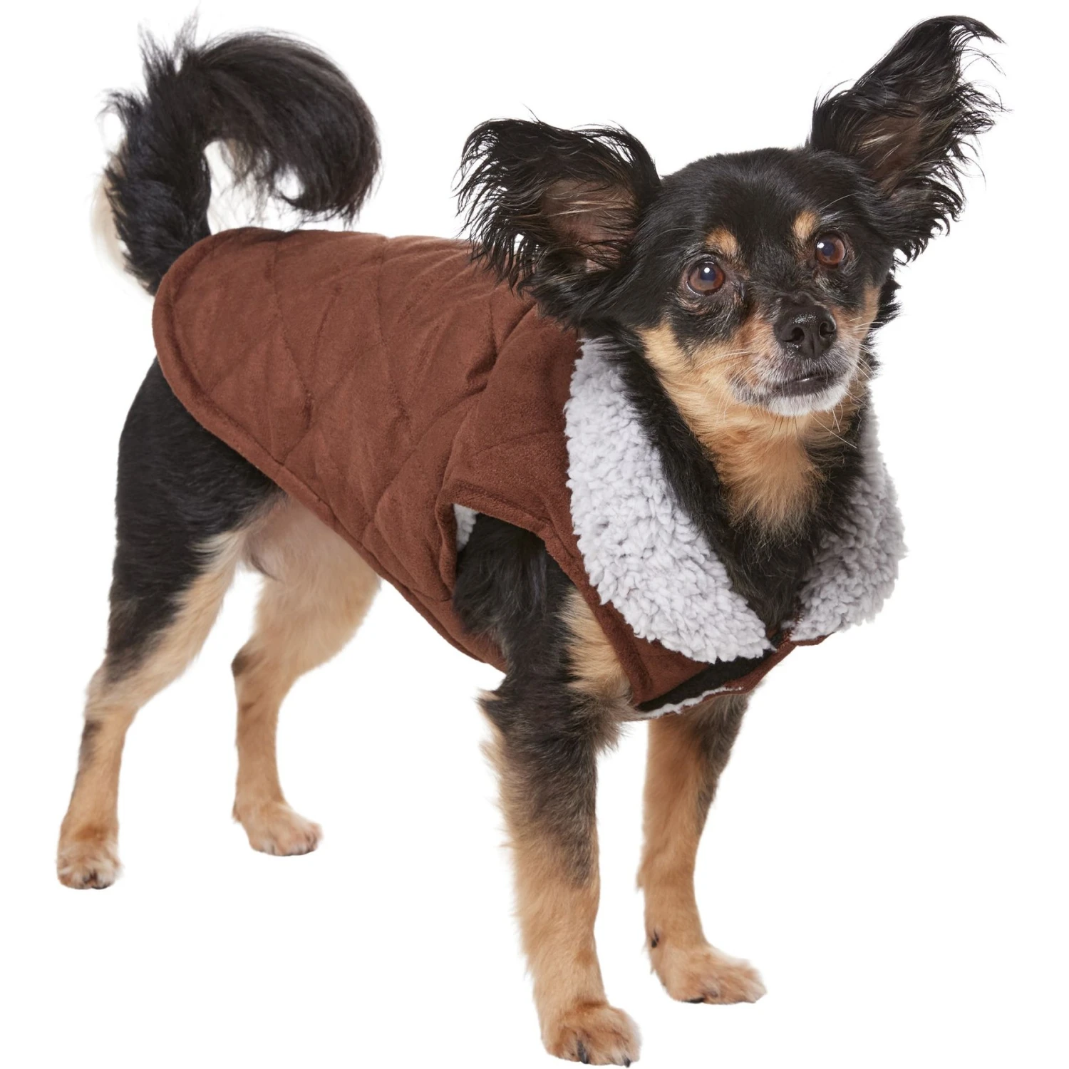 Frisco Medium Weight Quilted Dog & Cat Coat With Cozy Sherpa Lining - Image 3
