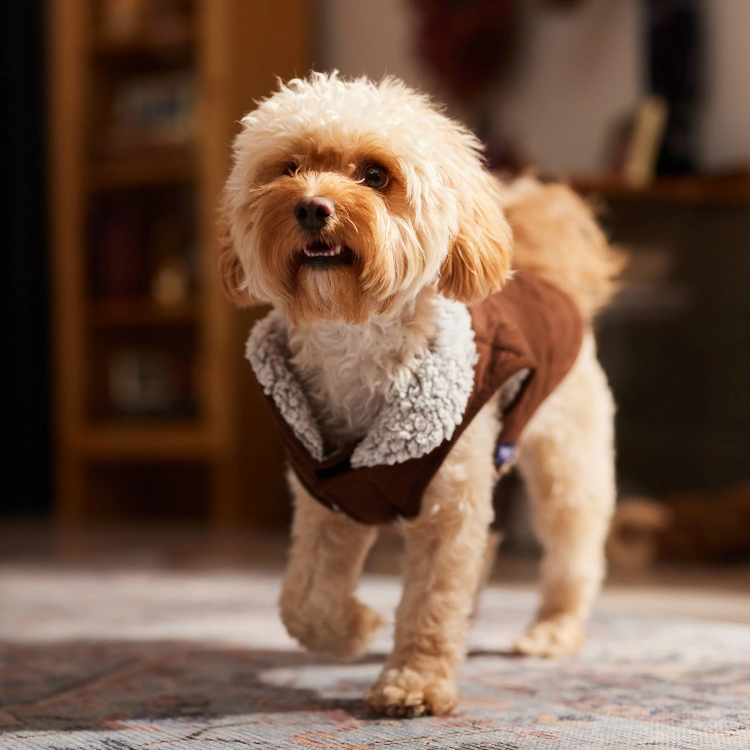 Frisco Medium Weight Quilted Dog & Cat Coat With Cozy Sherpa Lining - Image 8