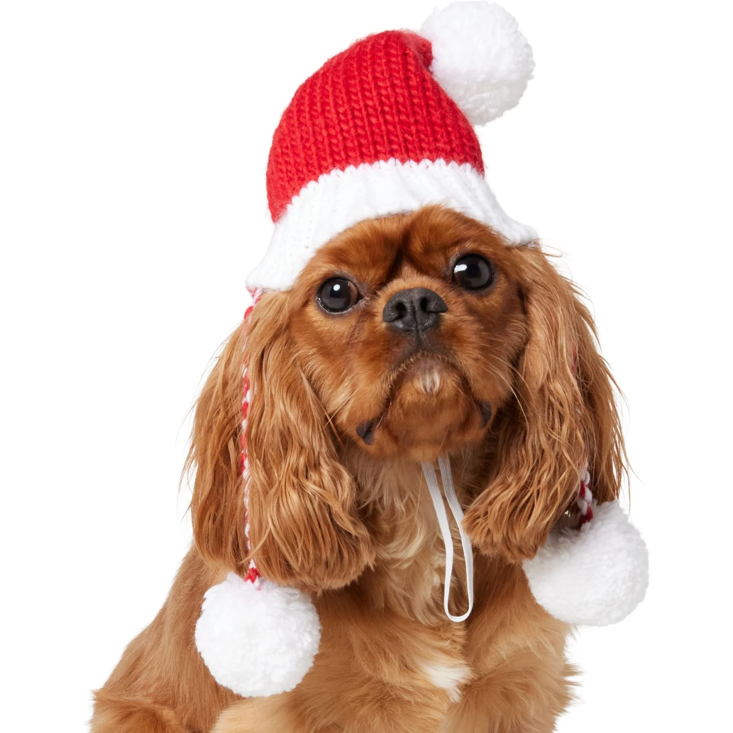 Frisco Chunky Knit Santa Dog & Cat Hat - Image 3