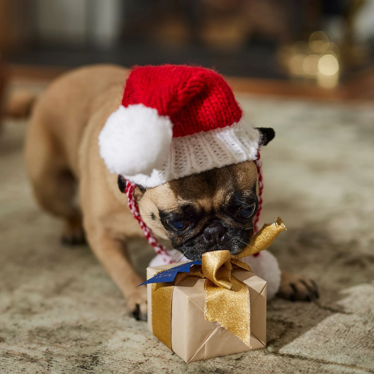 Frisco Chunky Knit Santa Dog & Cat Hat - Image 6