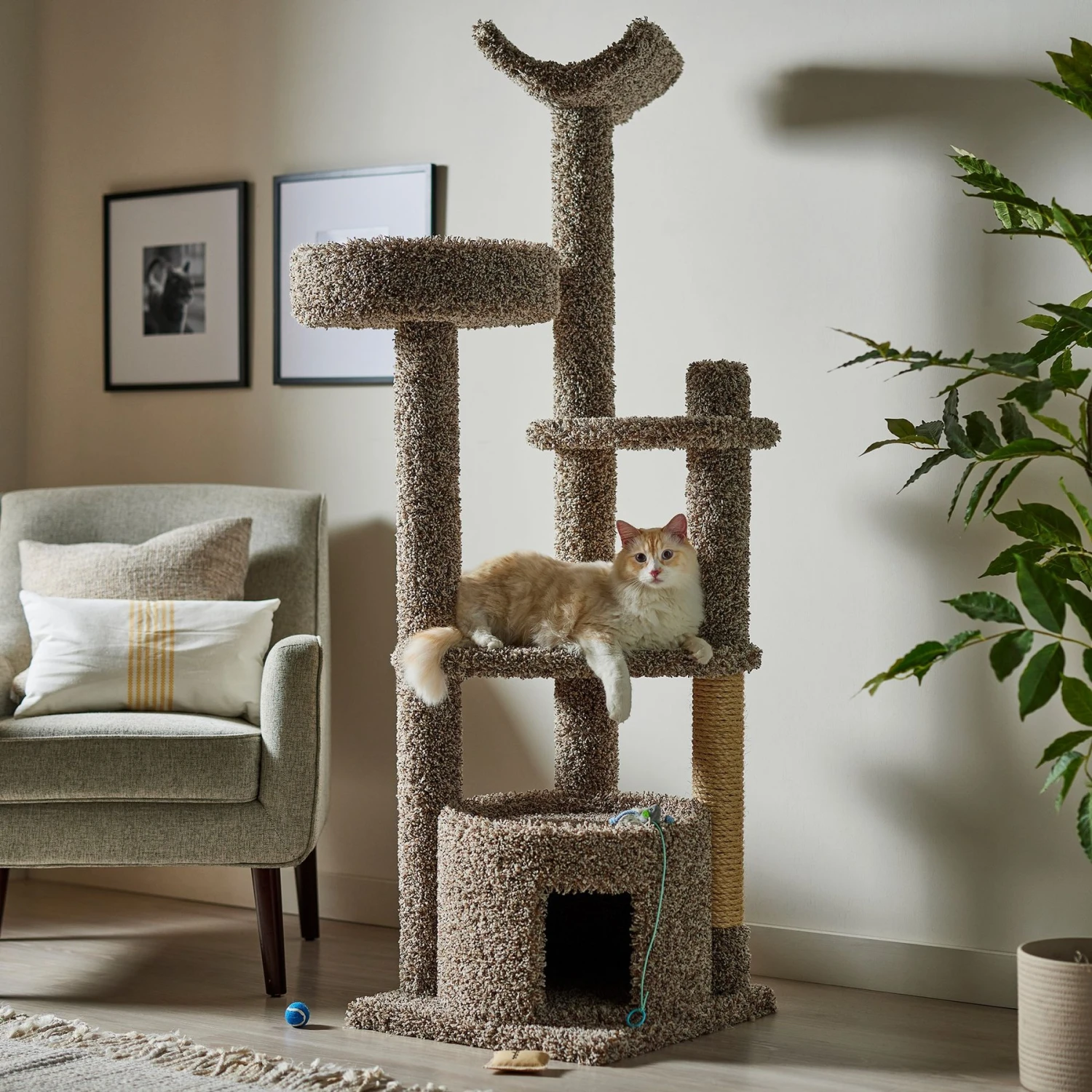 Frisco 64-in Real Carpet Wooden Cat Tree And Condo